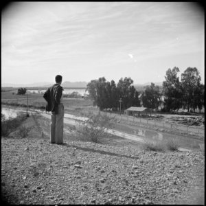 Poston, Arizona. In the foreground can be seen the irrigation canal which will supply Poston with a . . . - NARA - 536637