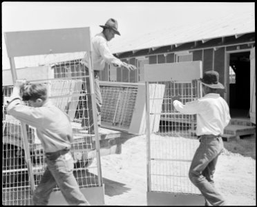 Poston, Arizona. Site Number 1. Apache Indians assist in the unloading of beds for evacuees of Jap . . . - NARA - 536127 photo