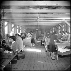 Poston, Arizona. Sewing school - NARA - 536629 photo