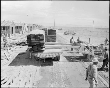 Poston, Arizona. Unloading lumber with bulldozer in the construction of barracks for evacuees of Jap . . . - NARA - 536070