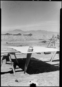 Poston, Arizona. Sawing celotex which is used in the construction of barracks for evacuees at this . . . - NARA - 536138 photo
