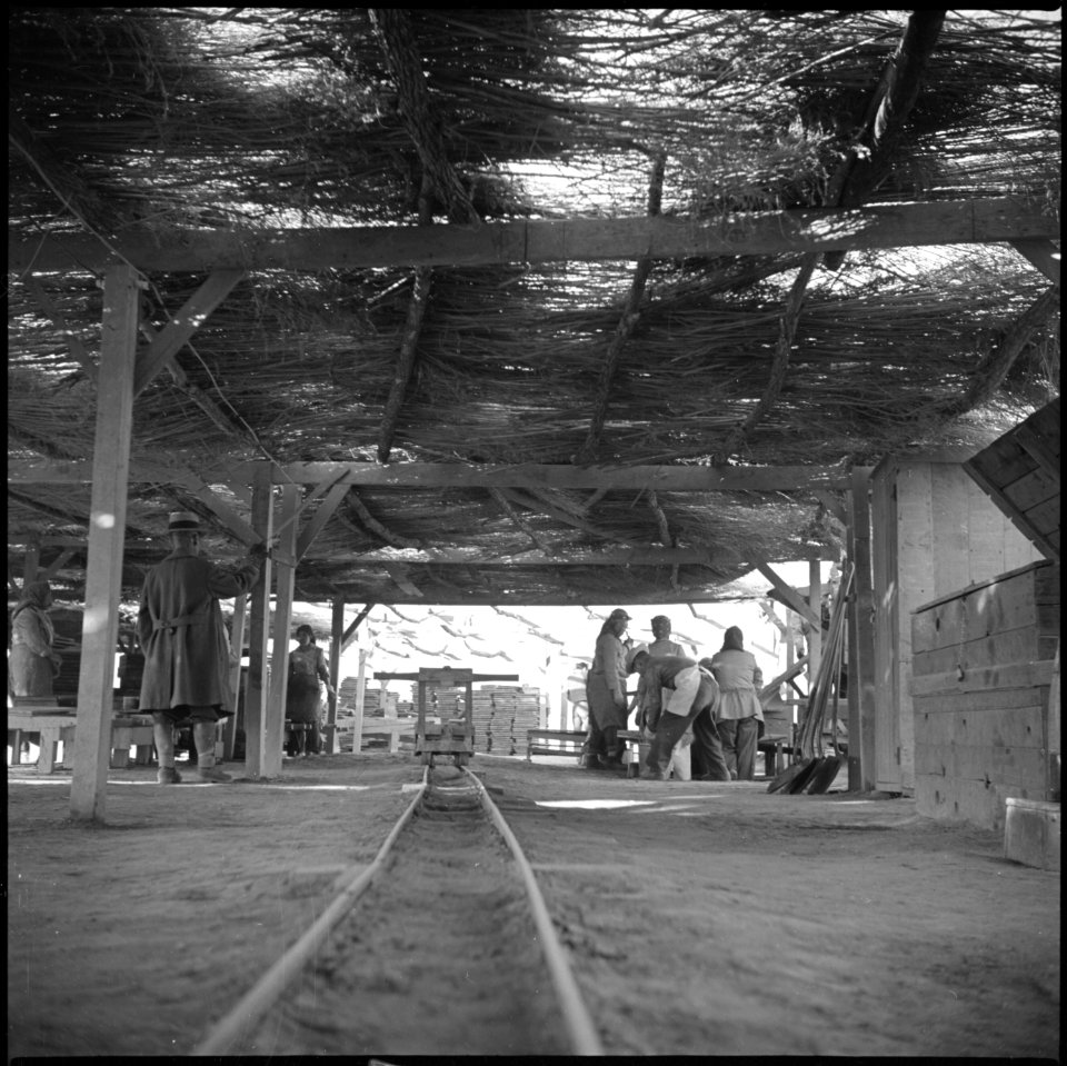 Poston, Arizona. The adobe factory at Camp Number 1 - NARA - 536625