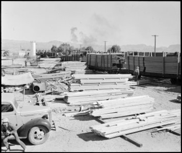 Poston, Arizona. Loading lumber for use in the construction of barracks for evacuees of Japanese an . . . - NARA - 536319 photo