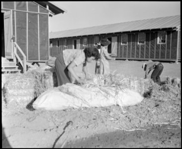 Poston, Arizona. Evacuees of Japanese ancestry are filling straw ticks for mattresses after arrival . . . - NARA - 536114 photo