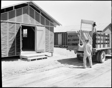 Poston, Arizona. Unloading beds for evacuees of Japanese ancestry at this War Relocation Authority . . . - NARA - 536126 photo