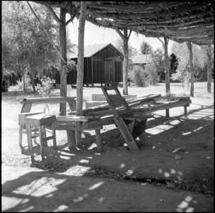Poston, Arizona. This shade built as a protection from the heat of the sun has already served its p . . . - NARA - 539864