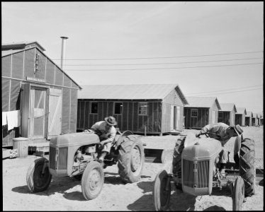 Poston, Arizona. Tom Nishemaru and Tom Enomoto inspecting tractors which have just been received at . . . - NARA - 536103