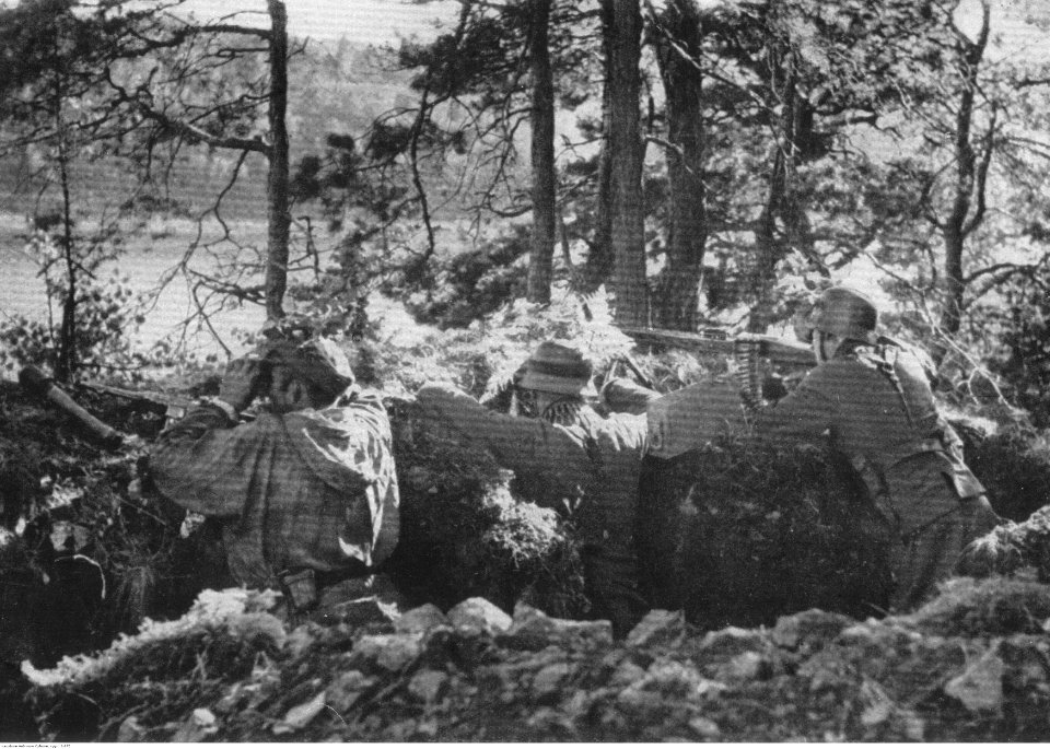 Pozycje wojsk niemieckich nad Dźwiną (2-875)