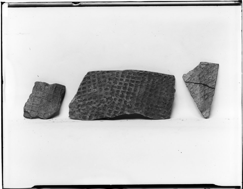 Pottery fragments from Florida - NARA - 523695