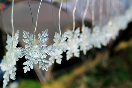 Snow flower lighting snow crystals
