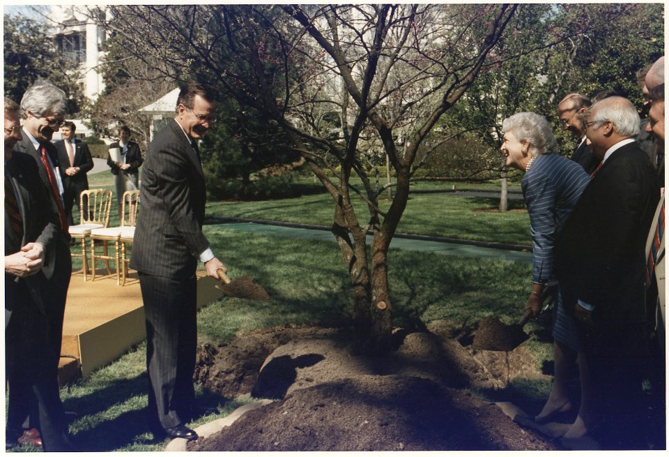 President and Mrs. Bush participate in a tree planting ceremony on the South Lawn of the White House - NARA - 186409