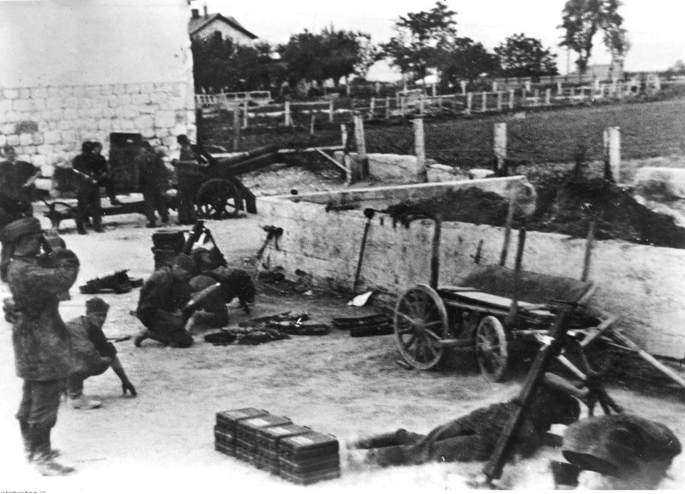 Pozycje dywizji strzelców górskich SS w Dalmacji (2-520)