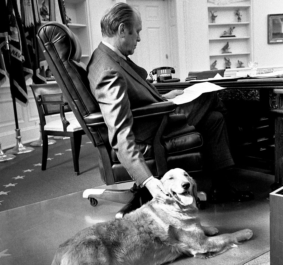 President Ford and his golden retriever Liberty - NARA - 6829597 (cropped1)