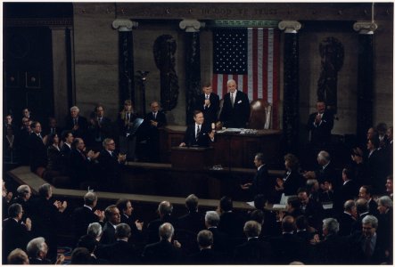 President Bush addresses a Joint Session of Congress regarding the end of the War with Iraq - NARA - 186431