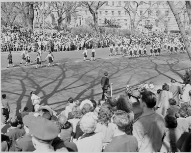 President Truman attends the Army Day parade in Washington, D. C. This view shows a women's unit marching in the parade. - NARA - 199603 photo