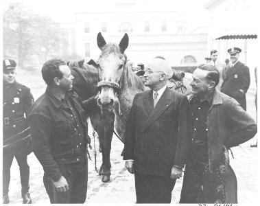 President Truman greets cross country horseback riders Ned Kennedy and Cecil Cary from Tacoma, Washington after their... - NARA - 199802