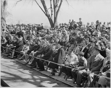 President Truman attends the Army Day parade in Washington, D. C. This view shows the crowd watching the parade. - NARA - 199621