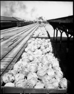 Railroad cars loaded with barbed wire at Taegu RTO (Railway Transportation Office), Korea. - NARA - 531363