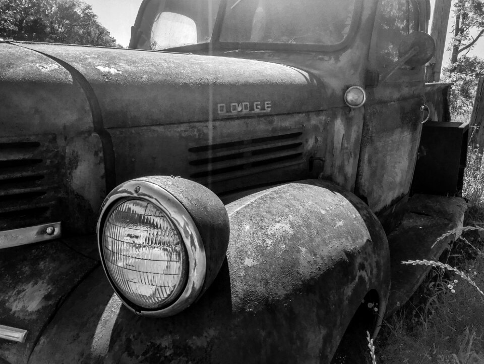 Vehicle black white
