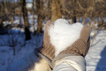 Nature frost heart valentines