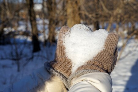 Nature frost heart valentines photo