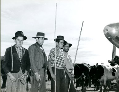 RG18-AG--3947