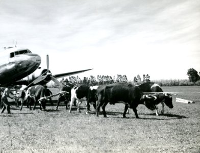 RG18-AG--3933
