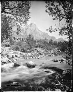 Rio Virgin, Utah. Old No. 94. Hillers photo - NARA - 517750