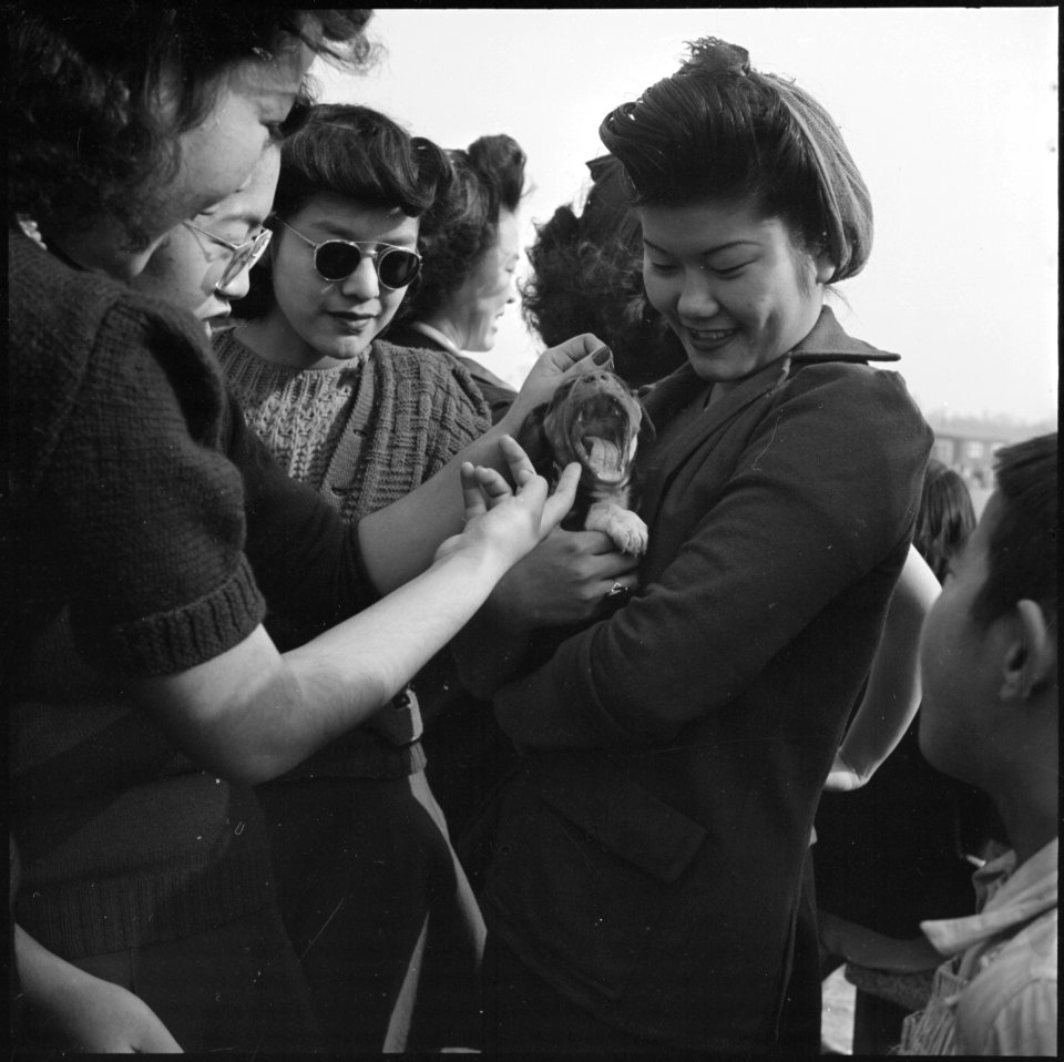 Rohwer Relocation Center, McGehee, Arkansas. A group of girls who are residents at this center, and . . . - NARA - 538915