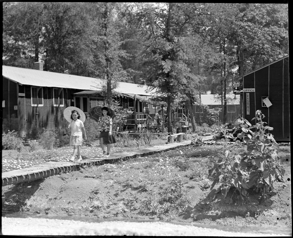 Rohwer Relocation Center, McGehee, Arkansas. In contrast to most of the relocation center sites, m . . . - NARA - 539706