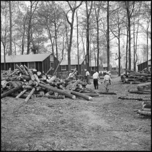 Rohwer Relocation Center, McGehee, Arkansas. A typical wood cutting scene on a street in the north . . . - NARA - 538930
