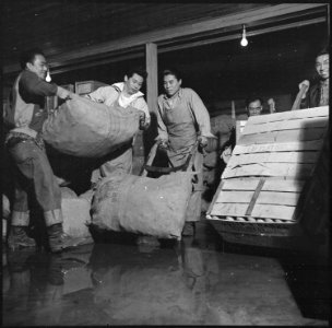 Rohwer Relocation Center, McGehee, Arkansas. Husky young former west coast residents in the produc . . . - NARA - 539373