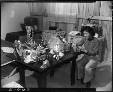 Rohwer Relocation Center, McGehee, Arkansas. Residents of this center gather strange root and tree . . . - NARA - 538988