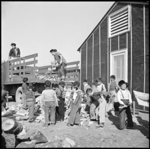 Rohwer Relocation Center, McGehee, Arkansas. The arrival of kindling wood from the contractor's sto . . . - NARA - 538928