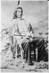 Red Cloud (Maqpeya-luta), Chief of the Oglala Sioux, full-length, seated, holding cane - NARA - 530816