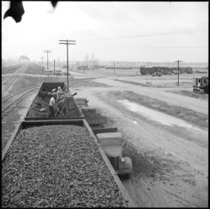 Rohwer Relocation Center, McGehee, Arkansas. Volunteer workers loading coal from a gondola to truck . . . - NARA - 538912