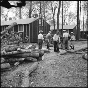 Rohwer Relocation Center, McGehee, Arkansas. Voluntary workers cutting up cleared logs for stove wo . . . - NARA - 538908