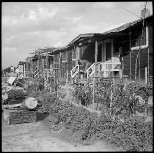 Rohwer Relocation Center, McGehee, Arkansas. Scene at Rohwer Relocation Center. Alongside the barr . . . - NARA - 537386