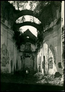 Ruiny kosciola karmelitow bosych w Zagorzu. ca 1905 (35204094)