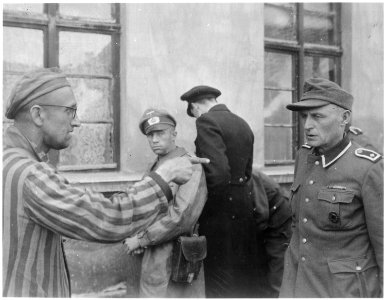 Russian slave laborer among prisoners liberated by 3rd Armored Division points out former Nazi guard who brutally... - NARA - 531262
