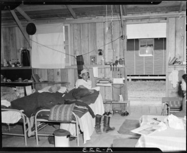 Salinas Assembly Center, Salinas, California. Barracks interior at assembly center where persons of . . . - NARA - 536173