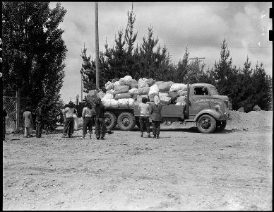 Salinas, California. Baggage belonging to evacuees of Japanese ancestry is brought in by truck to t . . . - NARA - 536165