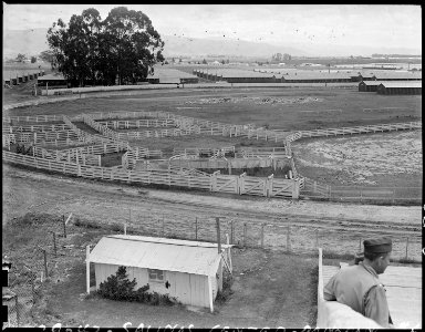 Salinas Assembly center, California. Panorama of Salinas Assembly center. Persons of Japanese ance . . . - NARA - 537444