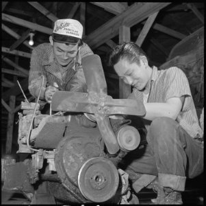 Rohwer Relocation Center, McGehee, Arkansas. In the motor pool repair section, George Baba and Tok . . . - NARA - 539383