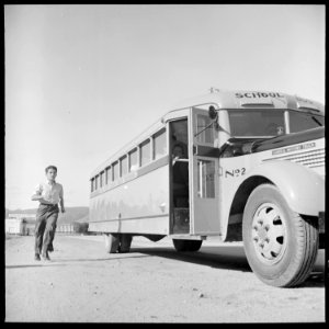 Salinas Valley, Monterey County, California. School Bus - NARA - 532150 photo