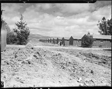 Salinas, California. Quarters of evacuees of Japanese ancestry at assembly center before the street . . . - NARA - 536180