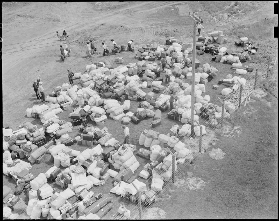 Salinas, California. Evacuees of Japanese ancestry identify their luggage at this Assembly center, . . . - NARA - 536158
