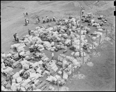 Salinas, California. Evacuees of Japanese ancestry identify their luggage at this Assembly center, . . . - NARA - 536158