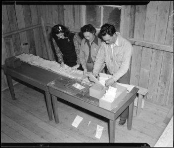 Salinas, California. Postal service has been established at this assembly center for evacuees of Ja . . . - NARA - 536175
