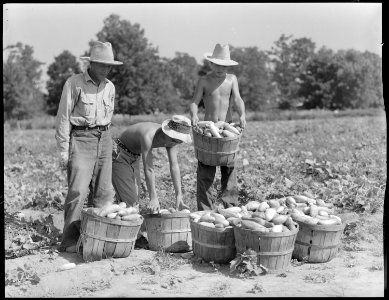 Rohwer Relocation Center, McGehee, Arkansas. Residents of the Rohwer Relocation Center near McGhee, . . . - NARA - 539622 photo